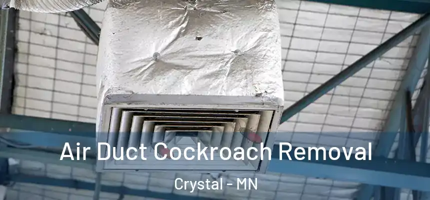  Air Duct Cockroach Removal Crystal - MN
