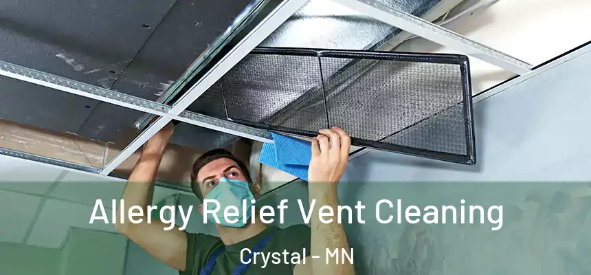  Allergy Relief Vent Cleaning Crystal - MN