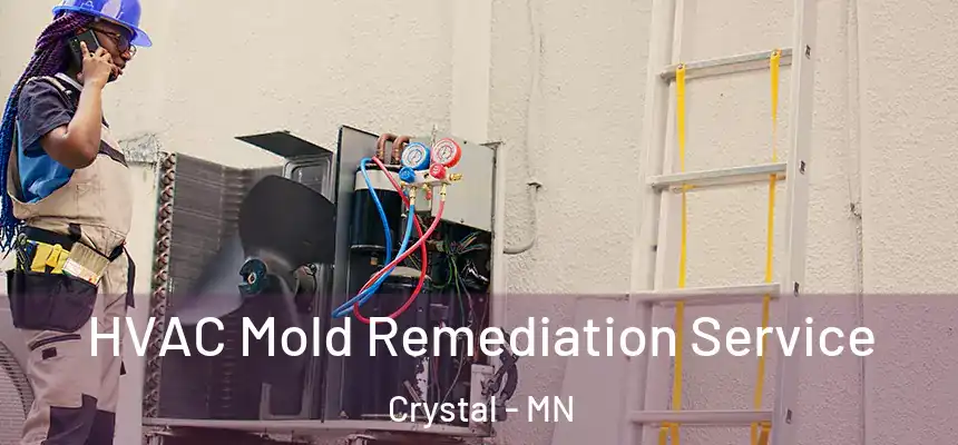  HVAC Mold Remediation Service Crystal - MN