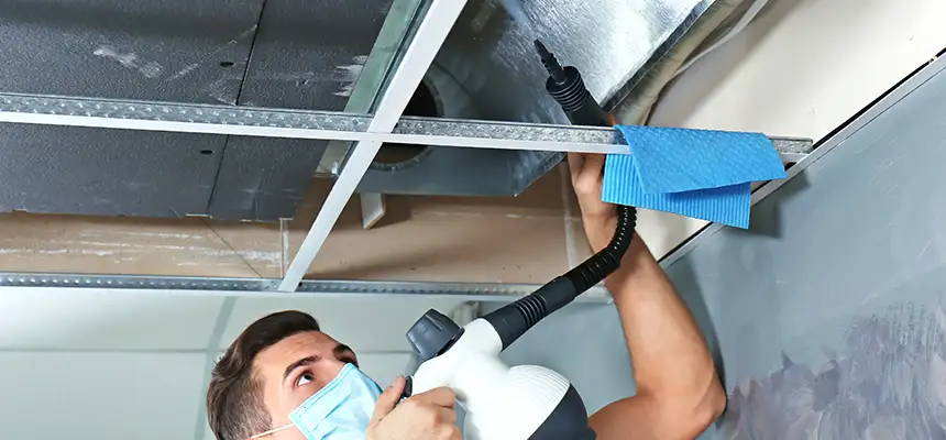 Our Air Duct Rodent Removal Services in Crystal, MN