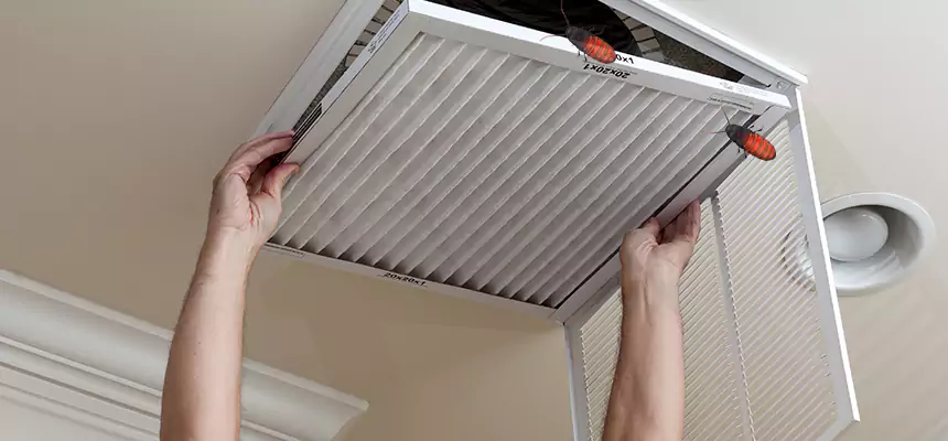 Our Insect Removal from Air Ducts Services in Crystal, MN