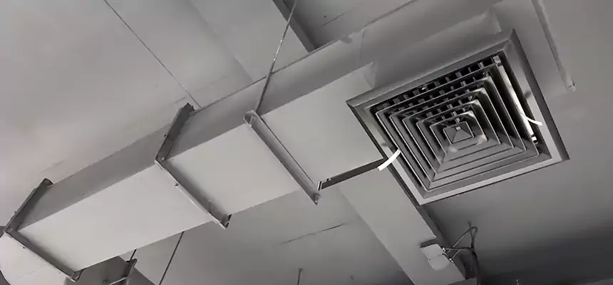 Our Pest Removal From Ducts Services in Crystal, MN