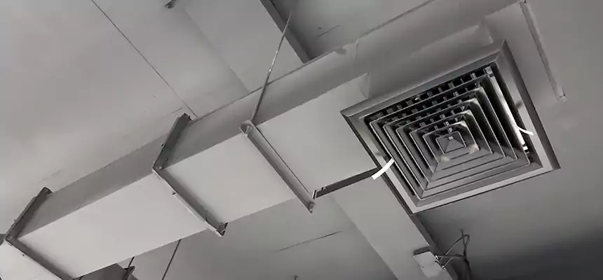 Our Rodent Droppings In Vents Services in Crystal, MN