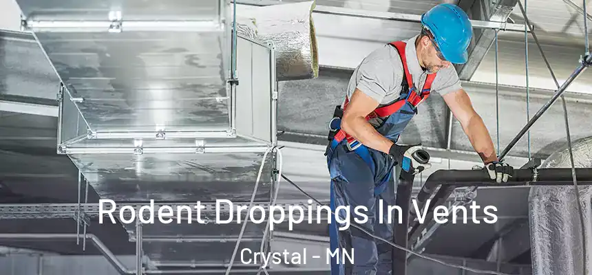 Rodent Droppings In Vents Crystal - MN