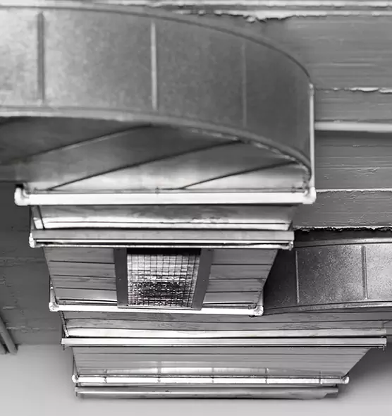 Professional Air Duct Pet Hair Removal in Crystal, MN