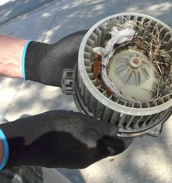 About Air Duct Rat Removal in Crystal, MN