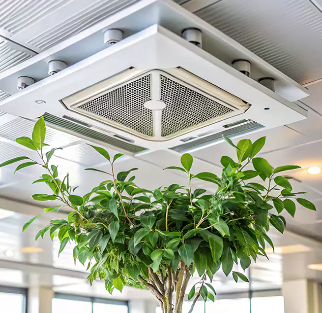 Why Homeowners & Businesses Trust Us in Crystal, MN